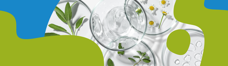 Vegan Cosmetics: What They Are & Why They Matter